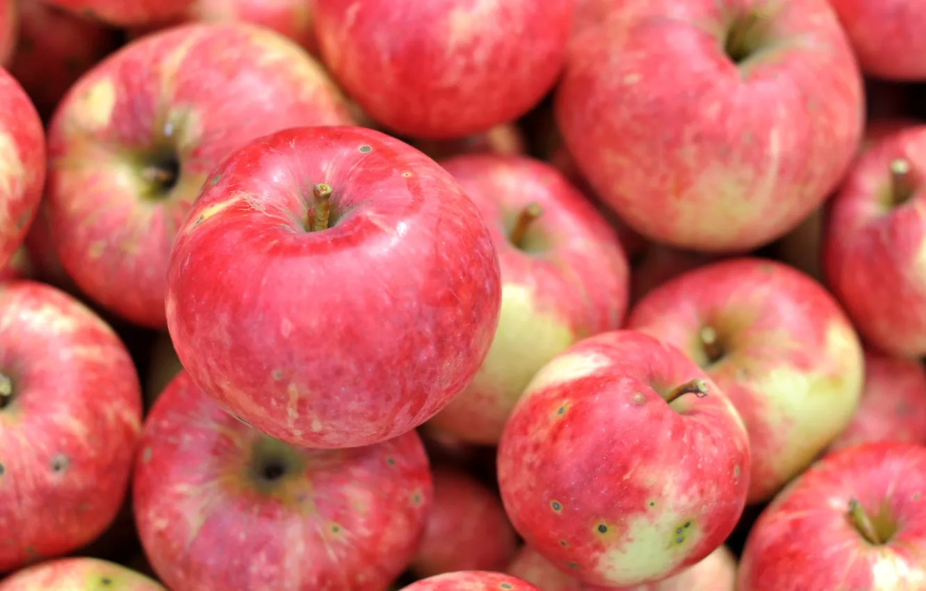Фото обои макро, яблоки, плоды, фрукт