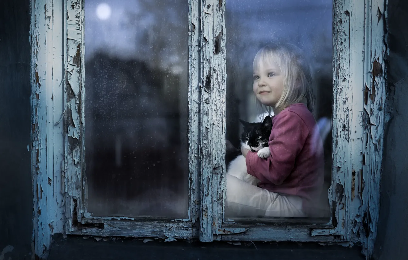Фото обои кошка, настроение, окно, девочка, котёнок