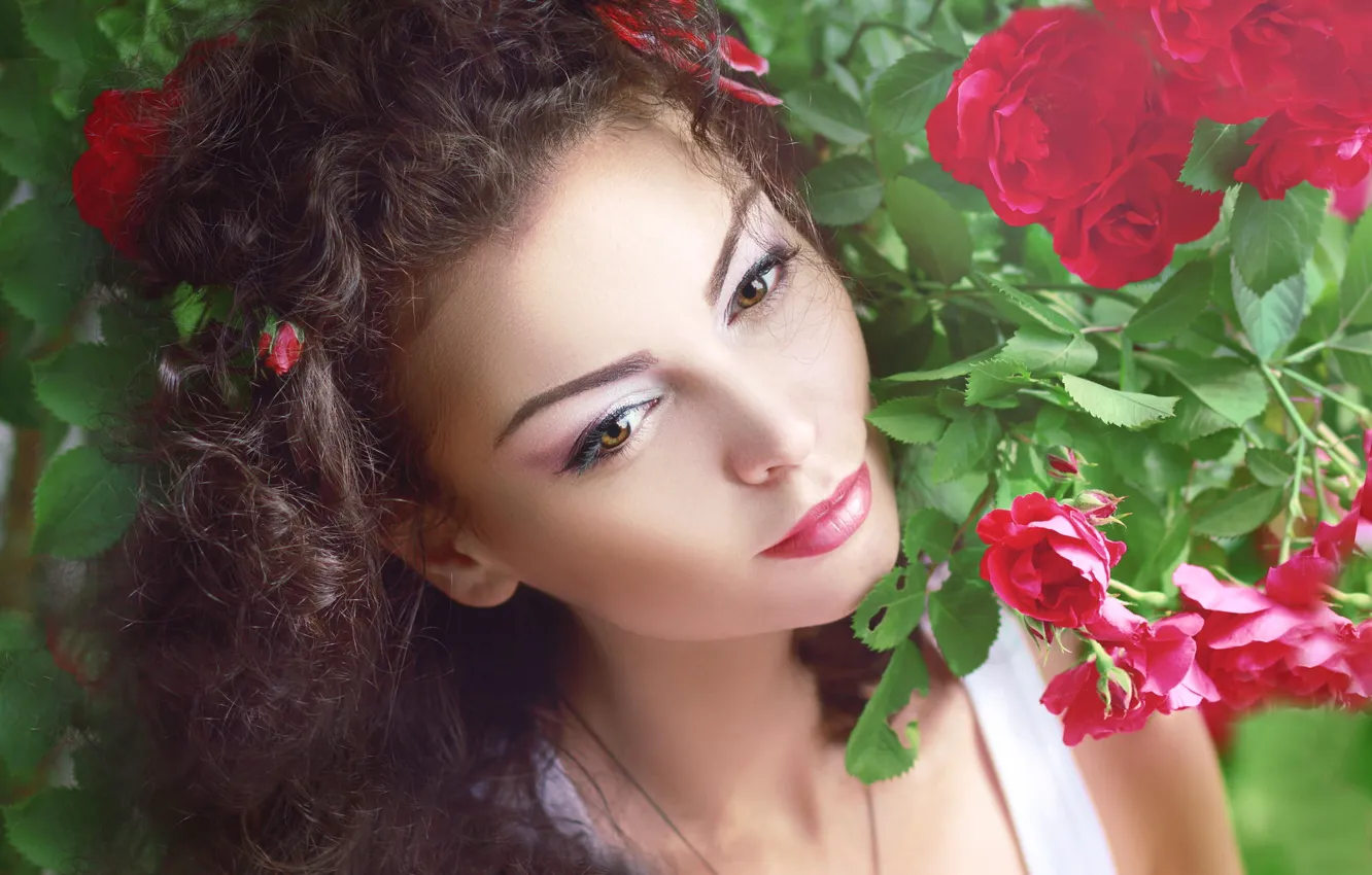Фото обои лето, листья, девушка, цветы, куст, розы, брюнетка, кудри