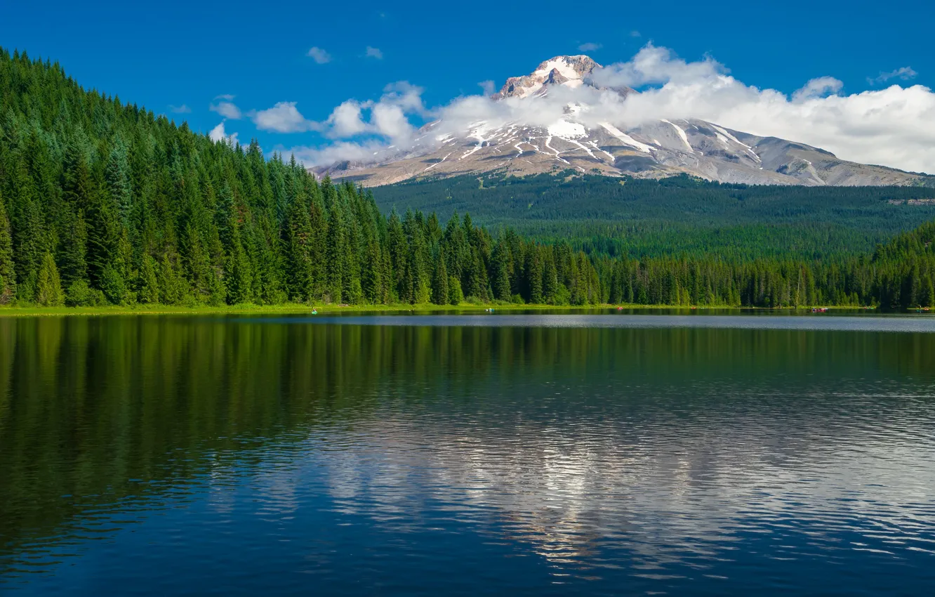 Фото обои лес, облака, озеро, гора, Орегон, Oregon, Trillium Lake, Mount Hood