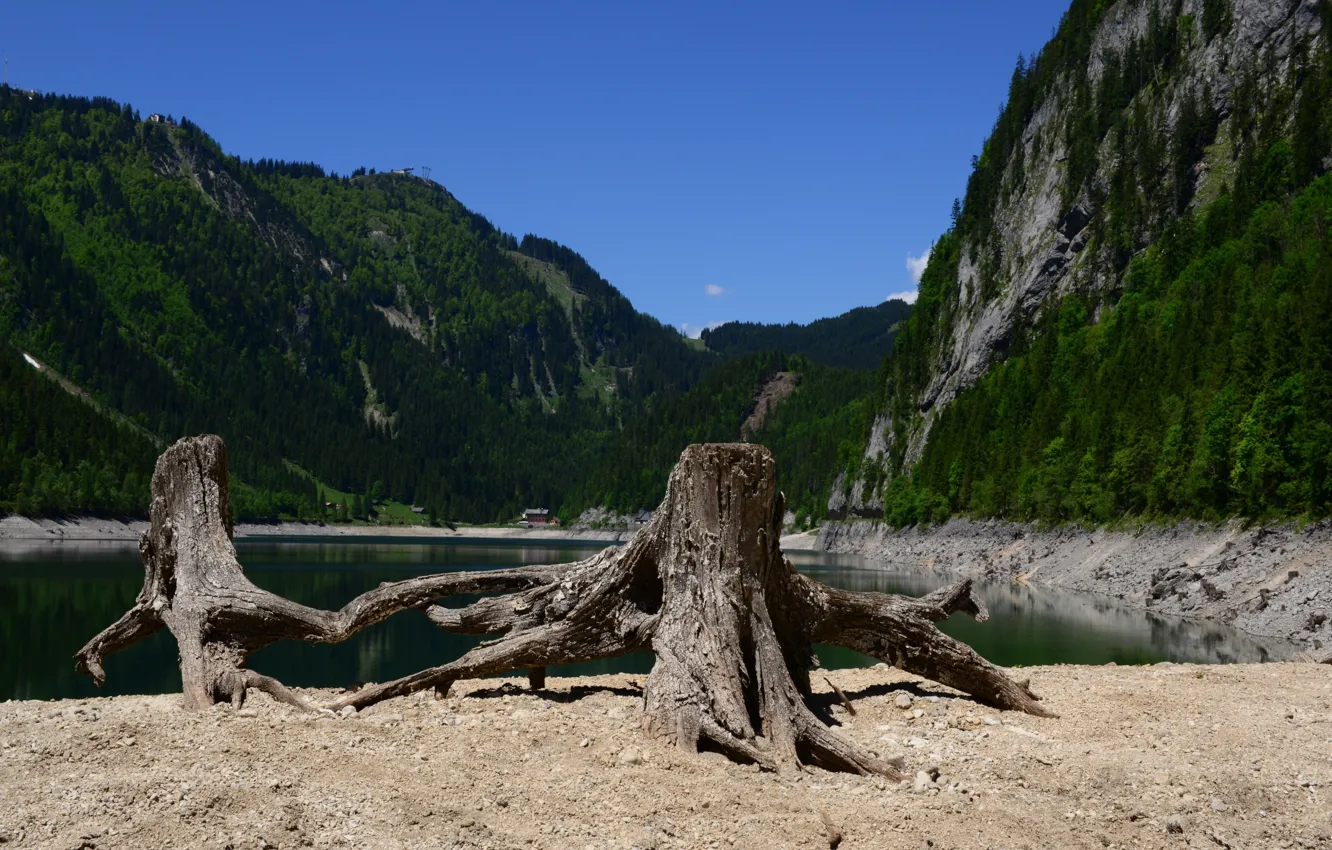 Фото обои summer, austria, nature, lake, tree, Gosausee, Gosau Lake