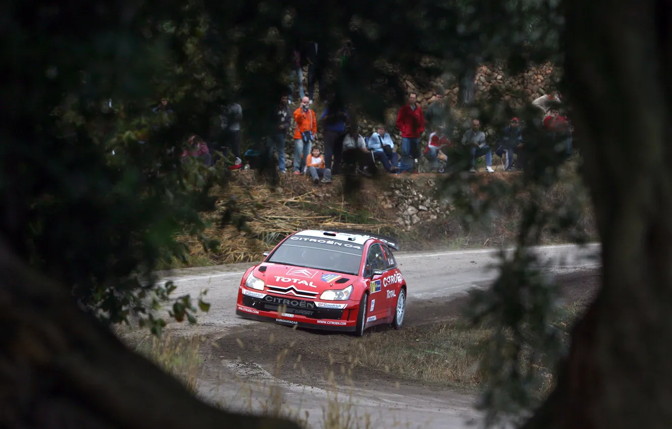 Фото обои фон, Citroen, rally, WRC