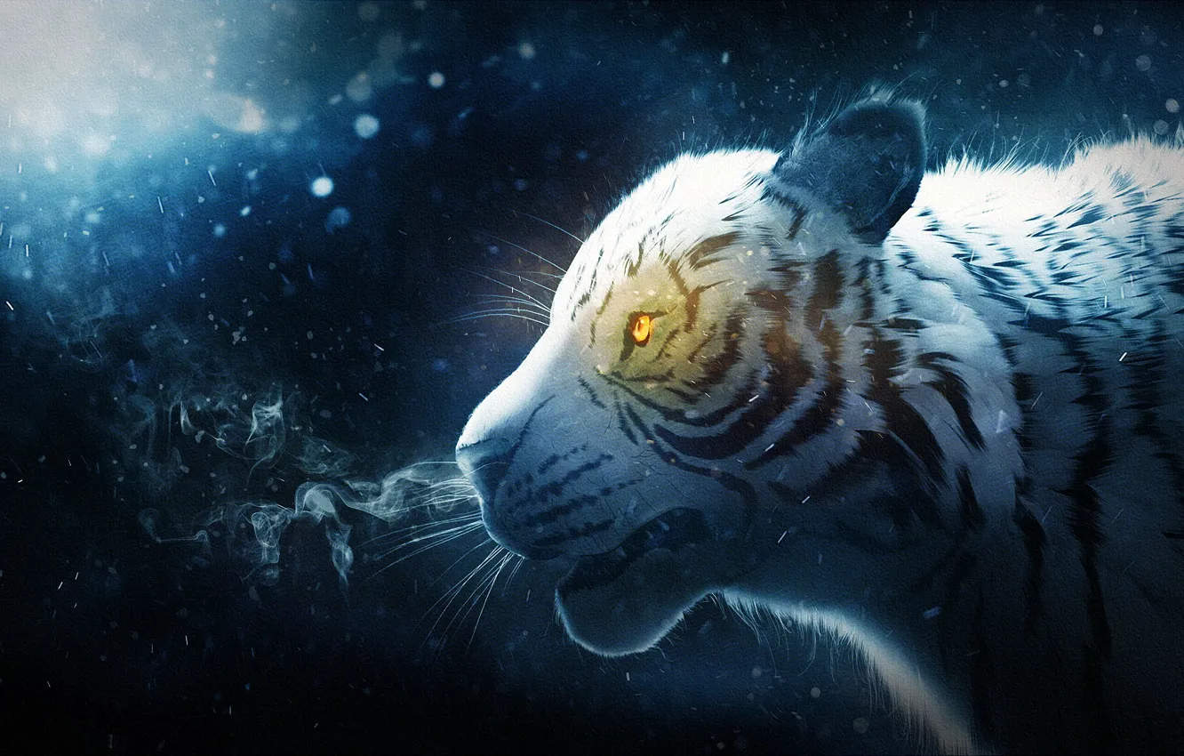 Фото обои снег, тигр, дым, by IkyuValiantValentine, Valiant Valentine