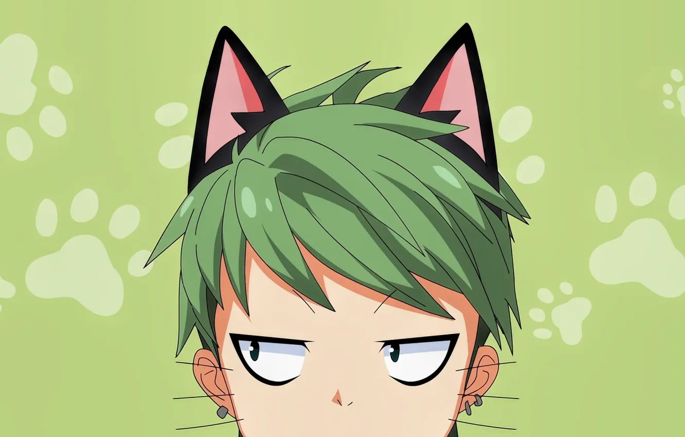 Фото обои green, anime, cat, boy, face, manga, head, japanese