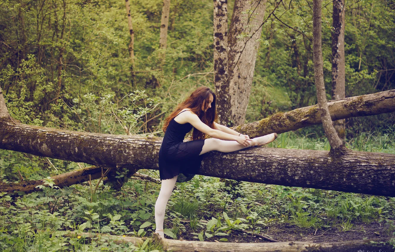 Фото обои лес, девушка, деревья, профиль, шатенка, длинноволосая