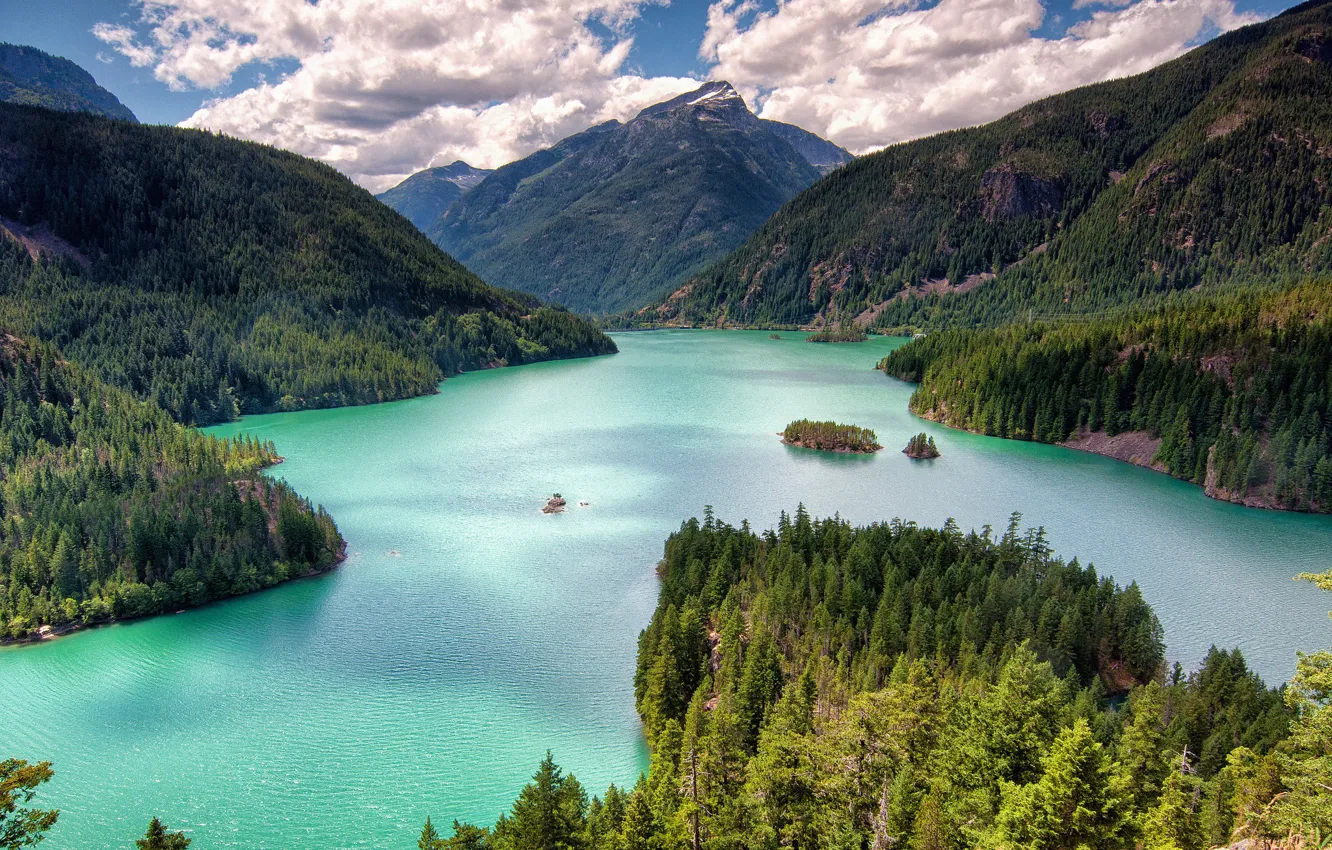 Фото обои лес, горы, озеро, Washington, штат Вашингтон, Озеро Дьявола, Diablo Lake, Северные Каскадные горы
