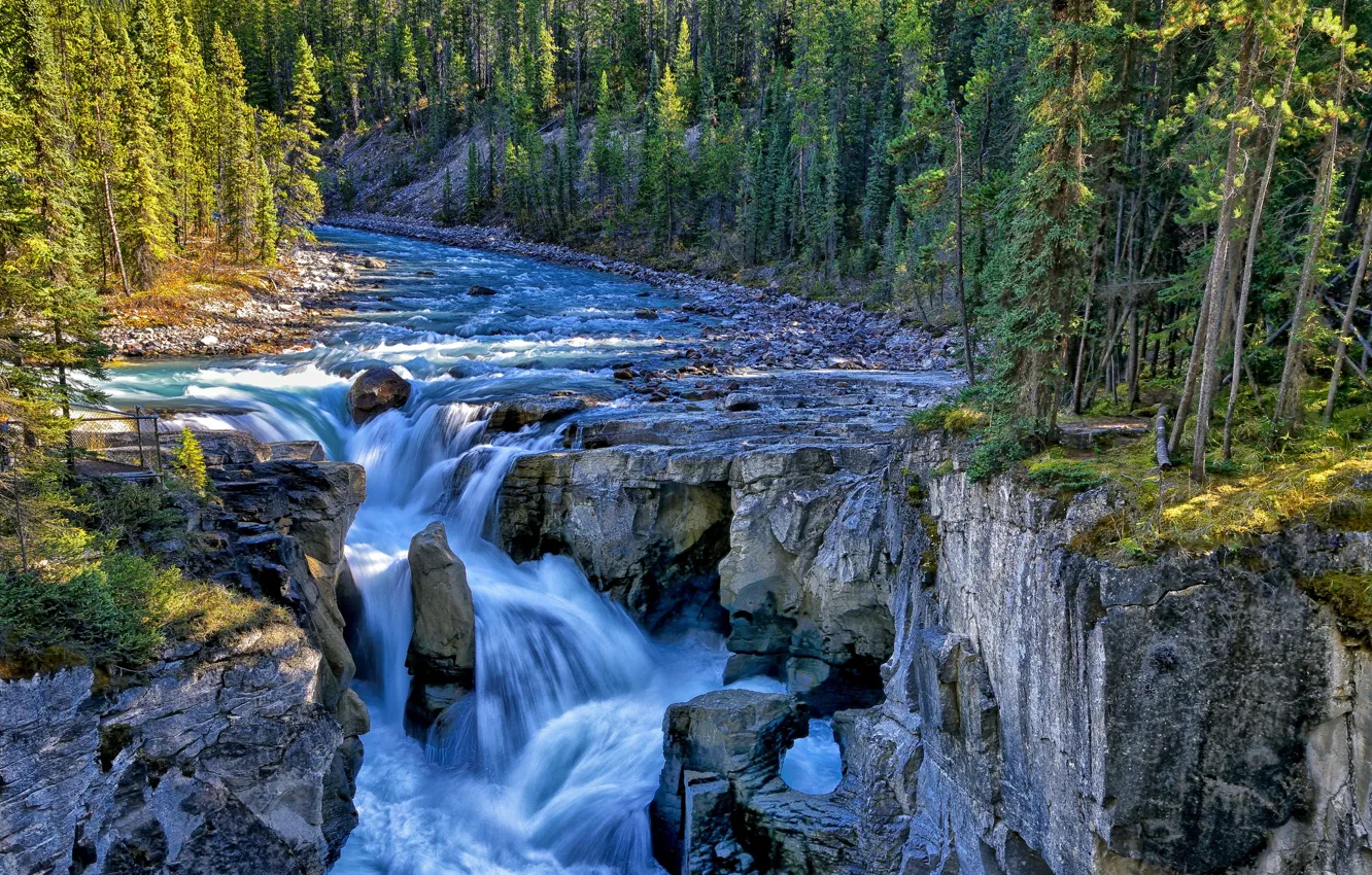 Фото обои лес, деревья, река, скалы, водопад, Канада, Canada, Jasper National Park