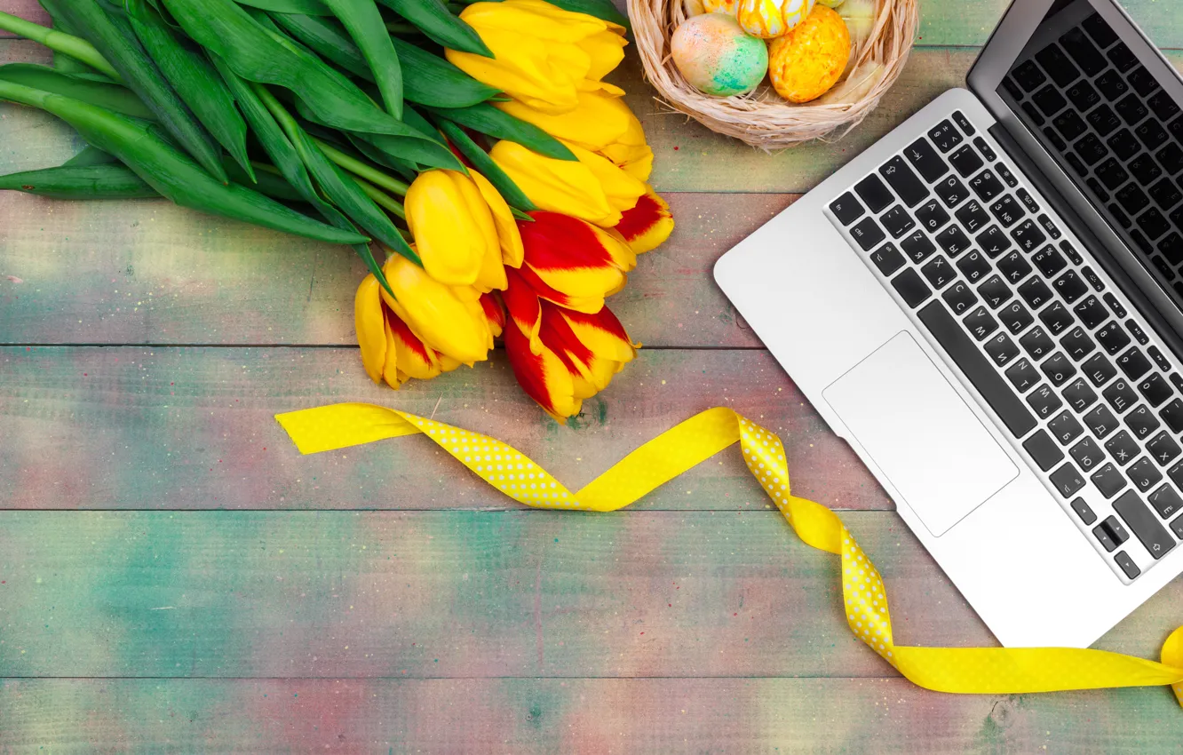 Фото обои цветы, яйца, весна, colorful, Пасха, тюльпаны, ноутбук, happy