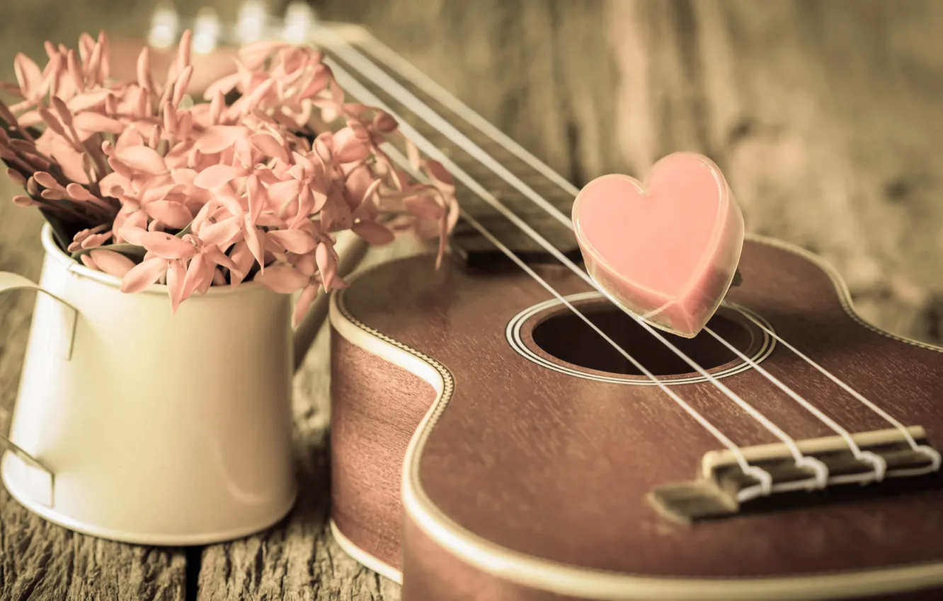 Фото обои цветы, сердце, love, vintage, heart, romantic, укулеле