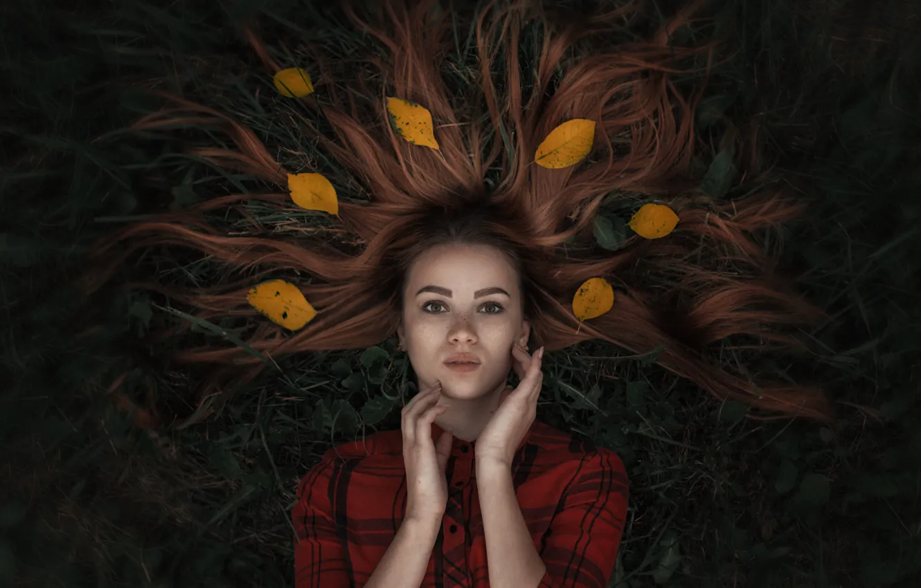 Фото обои трава, листья, волосы, Девушка, лежит, Александр Тишкевич