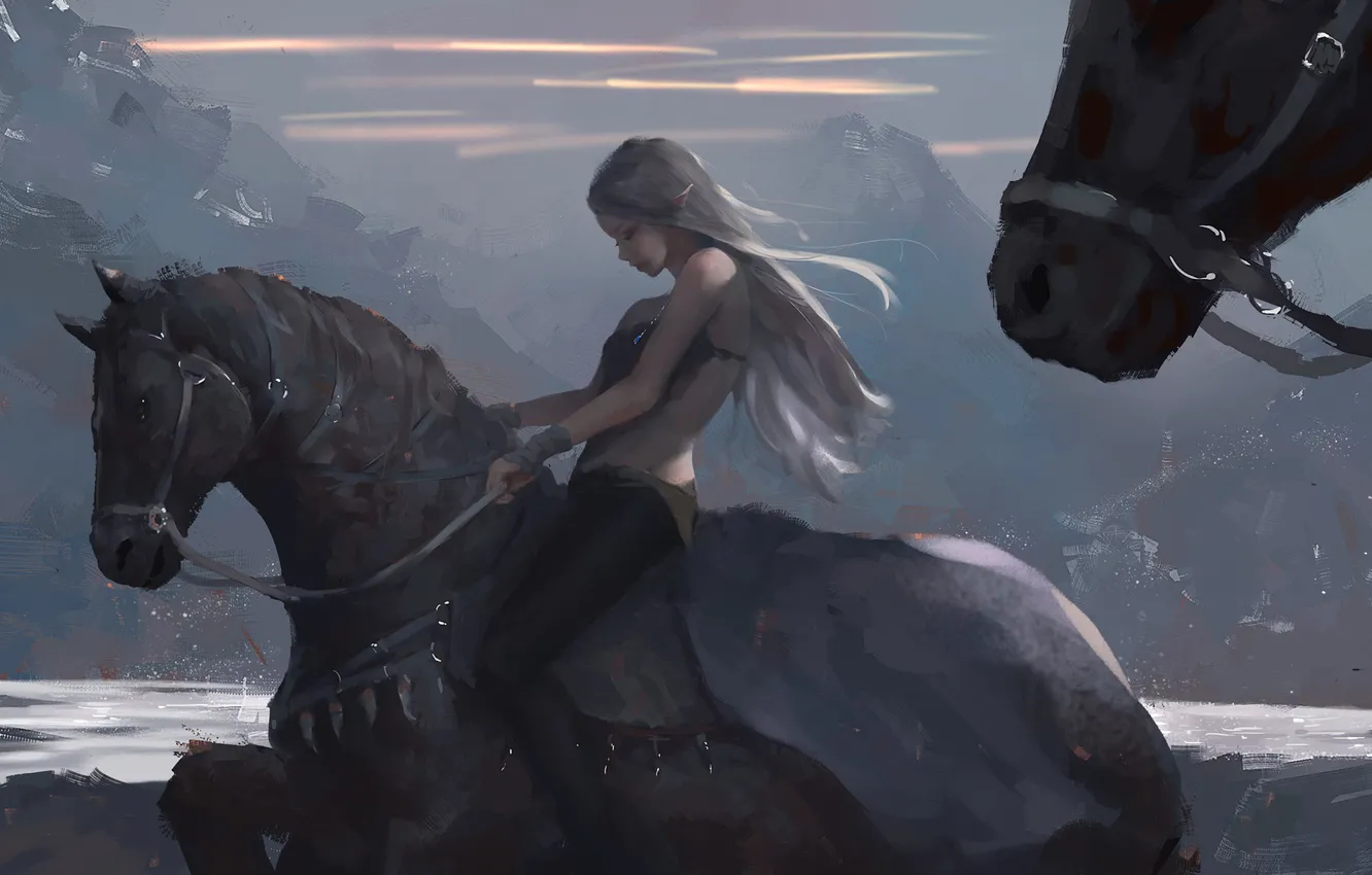 Фото обои девушка, горы, лошади, арт