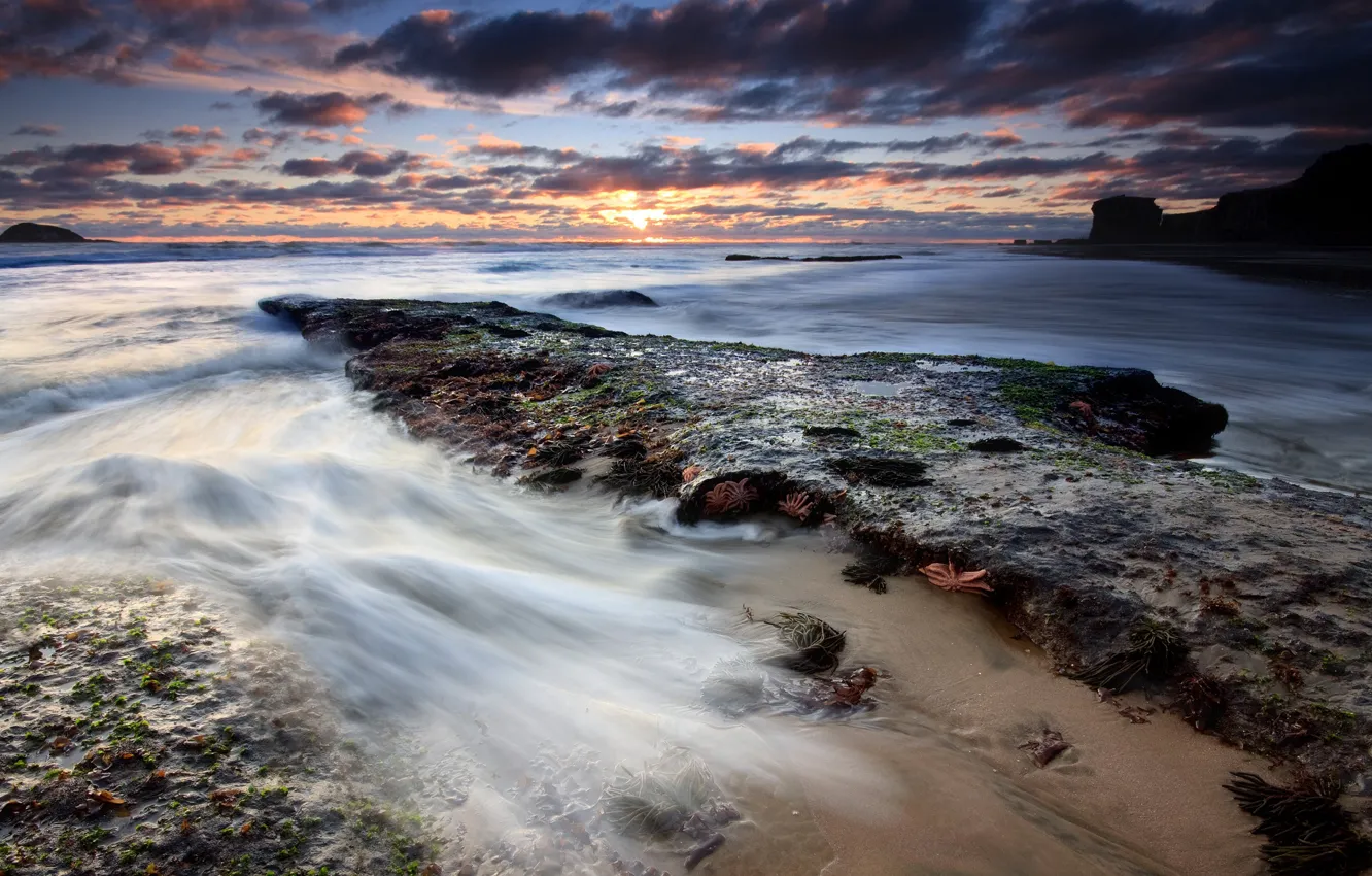 Фото обои вода, облака, камни, отлив, Берег