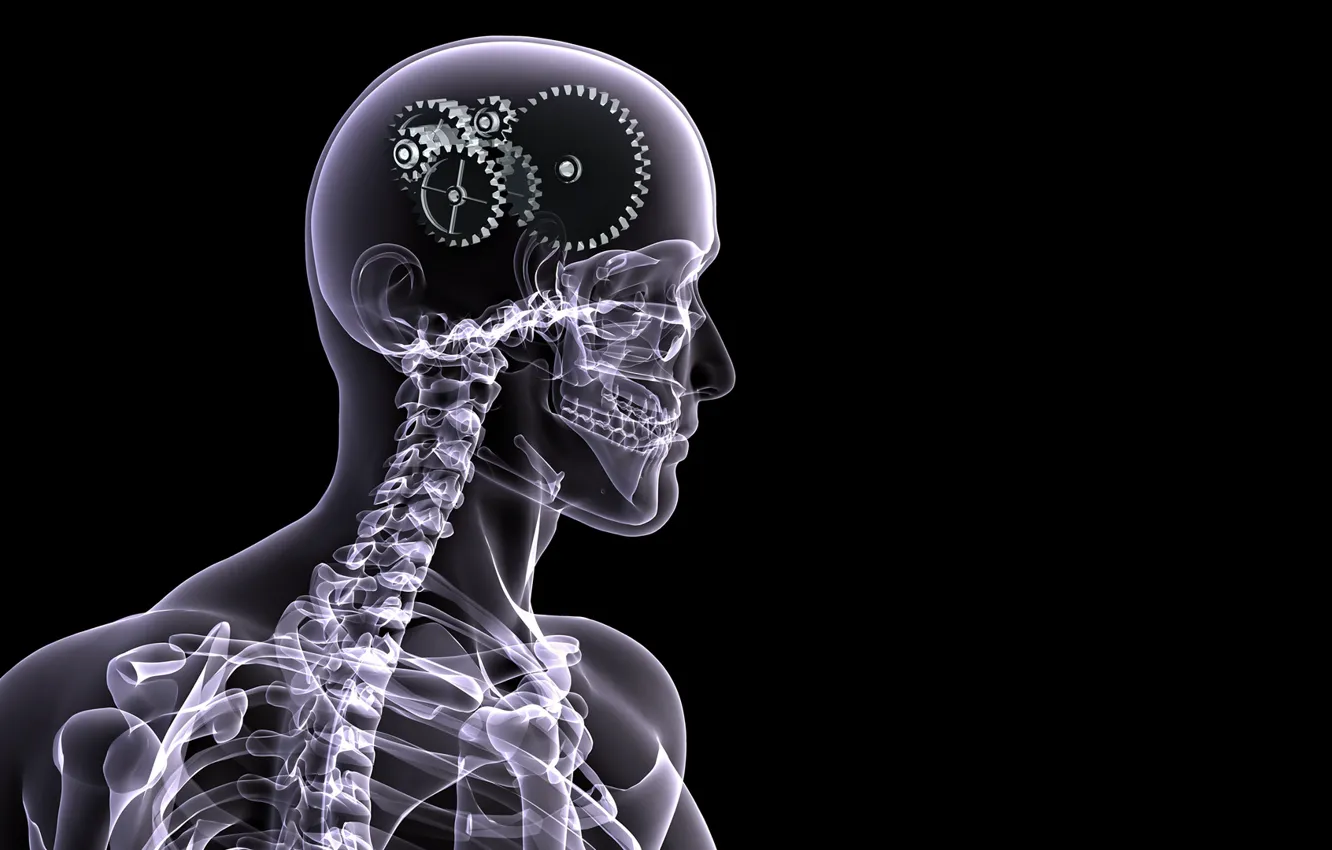 Фото обои человек, скелет, шестеренки, рентген, мозг, черный фон