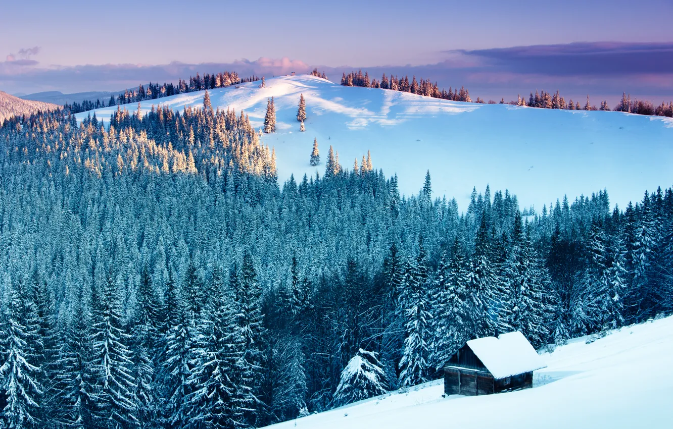 Фото обои Природа, Зима, Горы, Снег, Лес, Ель, Пейзаж