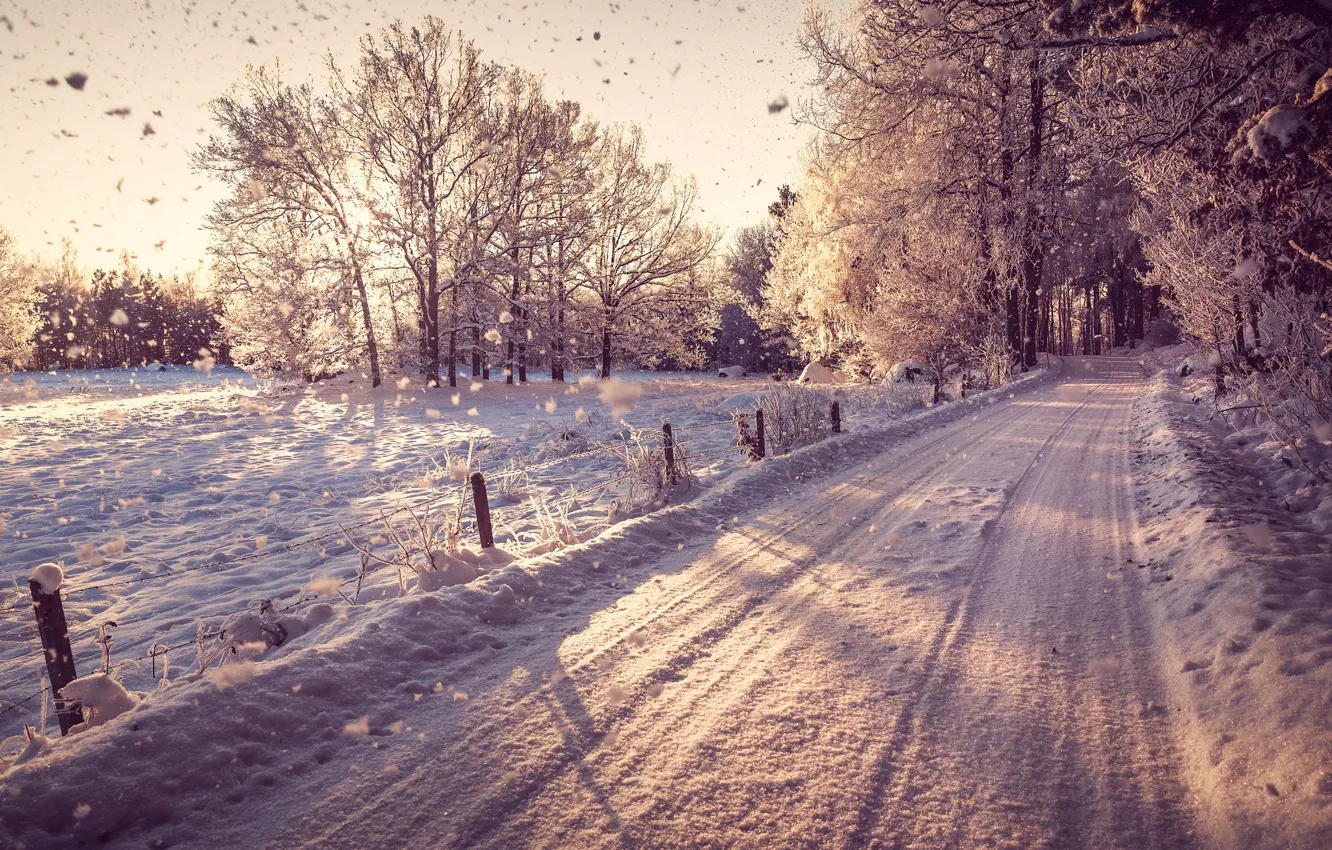 Фото обои зима, дорога, лес, снег, деревья, пейзаж, природа