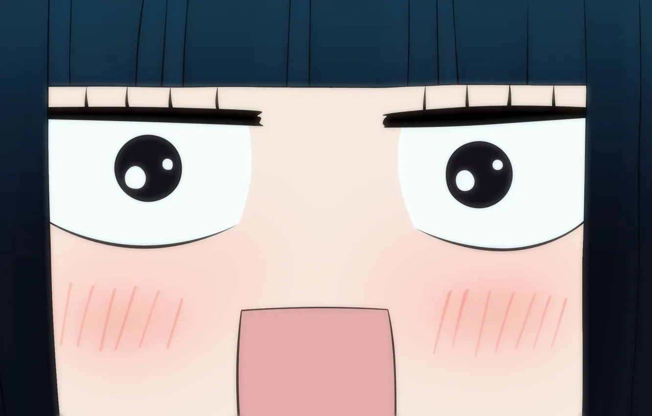 Фото обои kimi ni todoke, достучаться до тебя, дотянуться до тебя, куранума савако