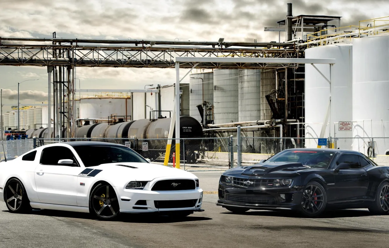 Фото обои Mustang, Ford, Белый, Chevrolet, Форд, Muscle, Камаро, Шевроле