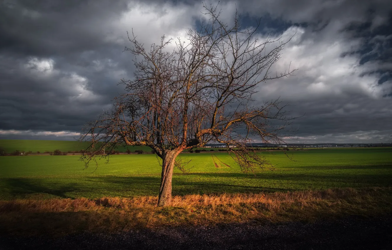 Фото обои Германия, Germany, Тюрингия, Thuringia, Haarhausen