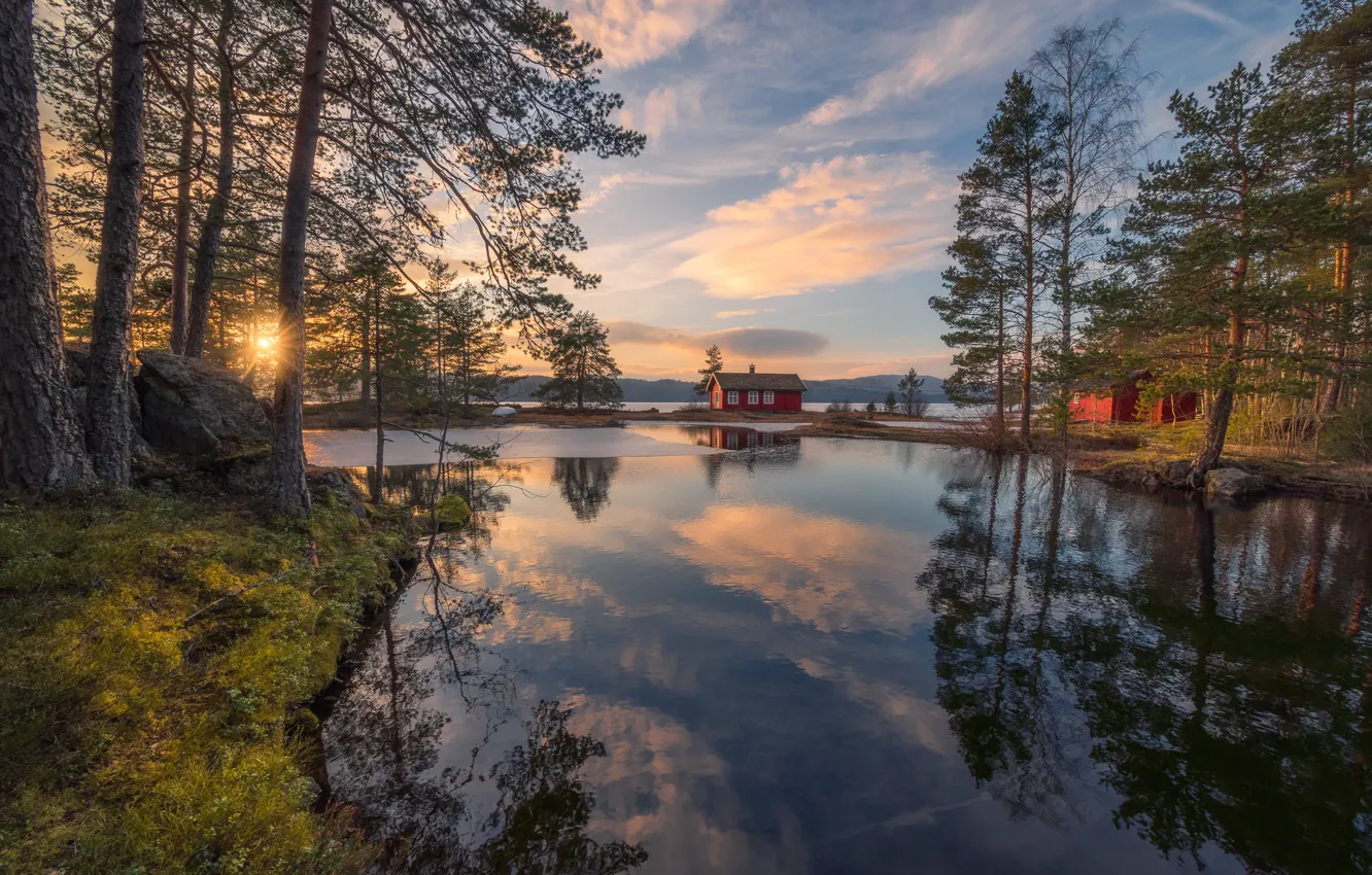 Фото обои деревья, озеро, отражение, весна, Норвегия, домик, Norway, Рингерике