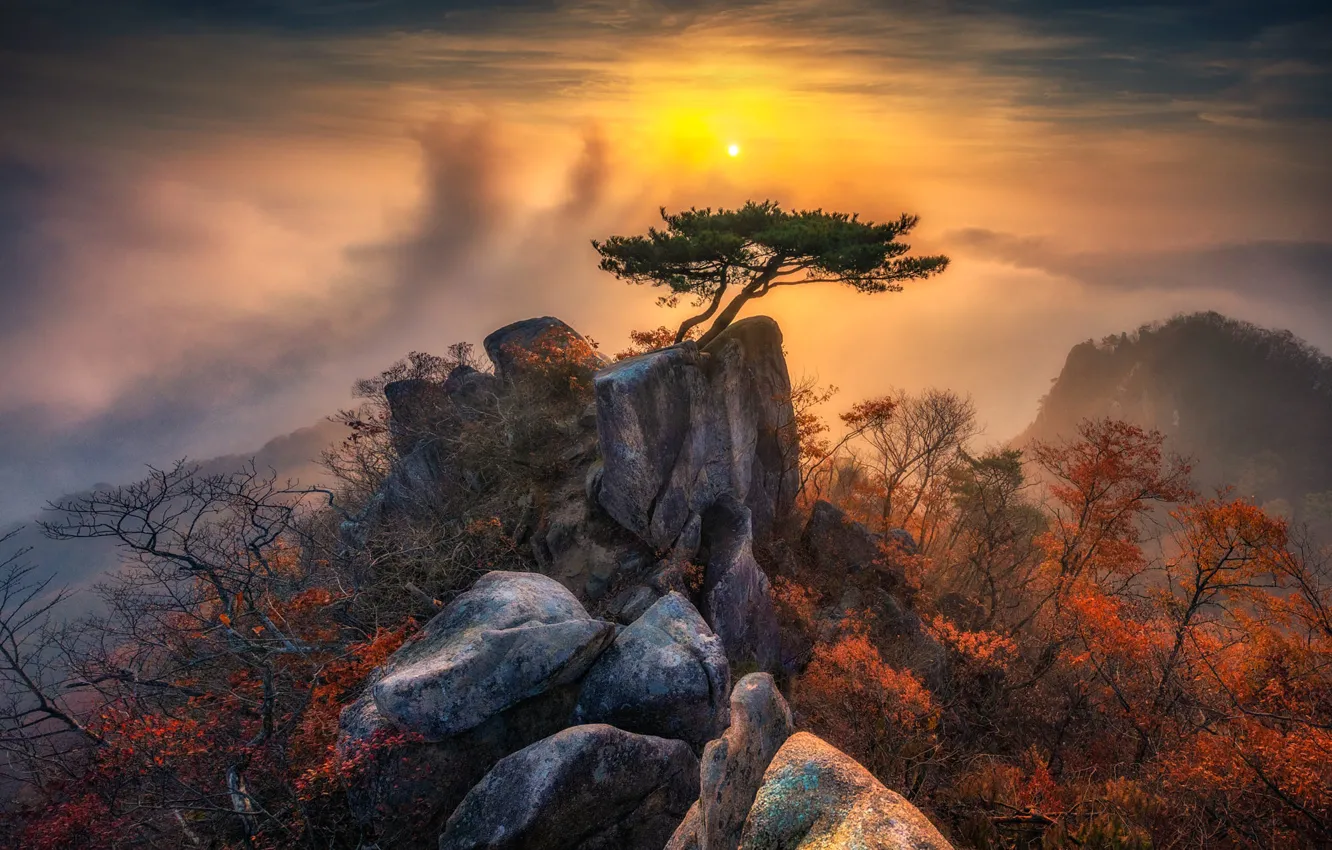 Фото обои осень, небо, солнце, облака, деревья, горы, туман, камни