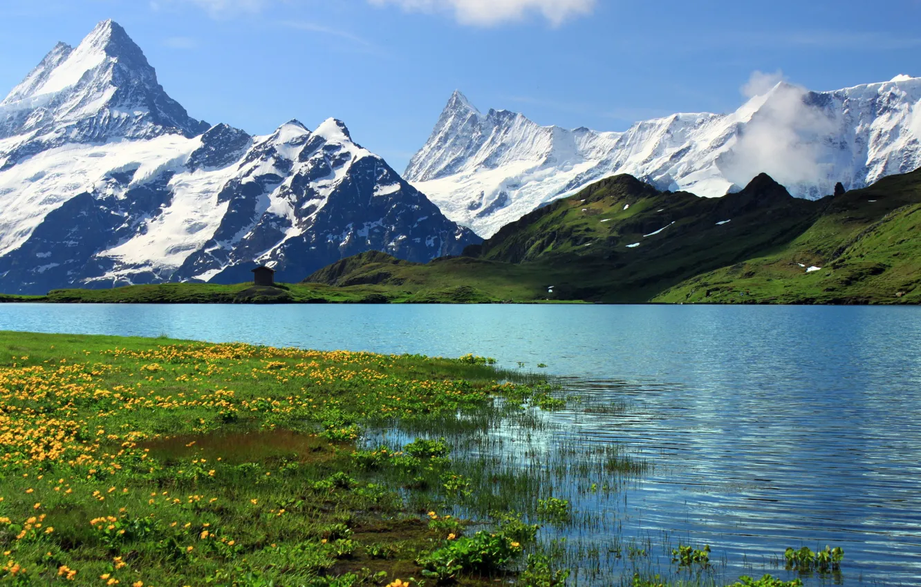 Фото обои трава, снег, горы, река, скалы, Швейцария, Switzerland, цветы.