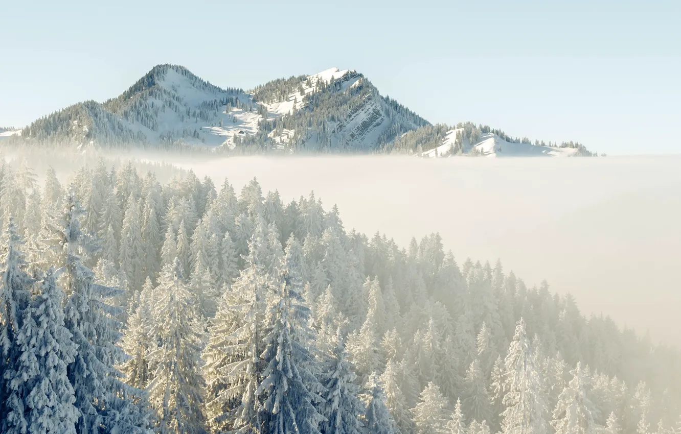 Фото обои зима, снег, горы, утро