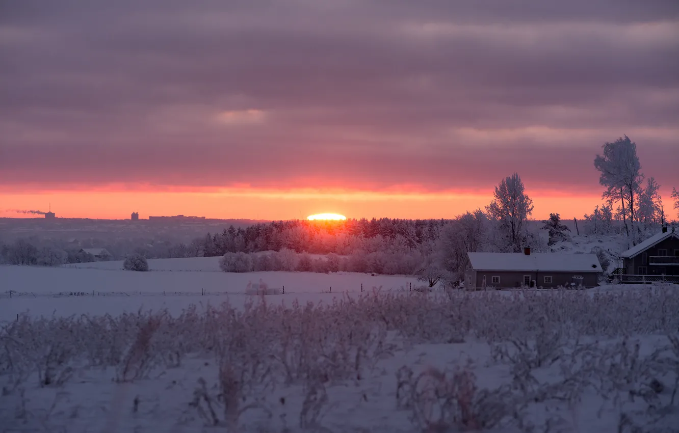 Фото обои winter, snow, morning, sunrise
