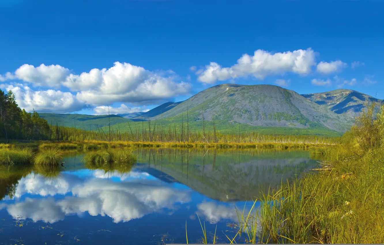 Фото обои небо, вода, облака, горы, озеро, отражение, камыши, Россия
