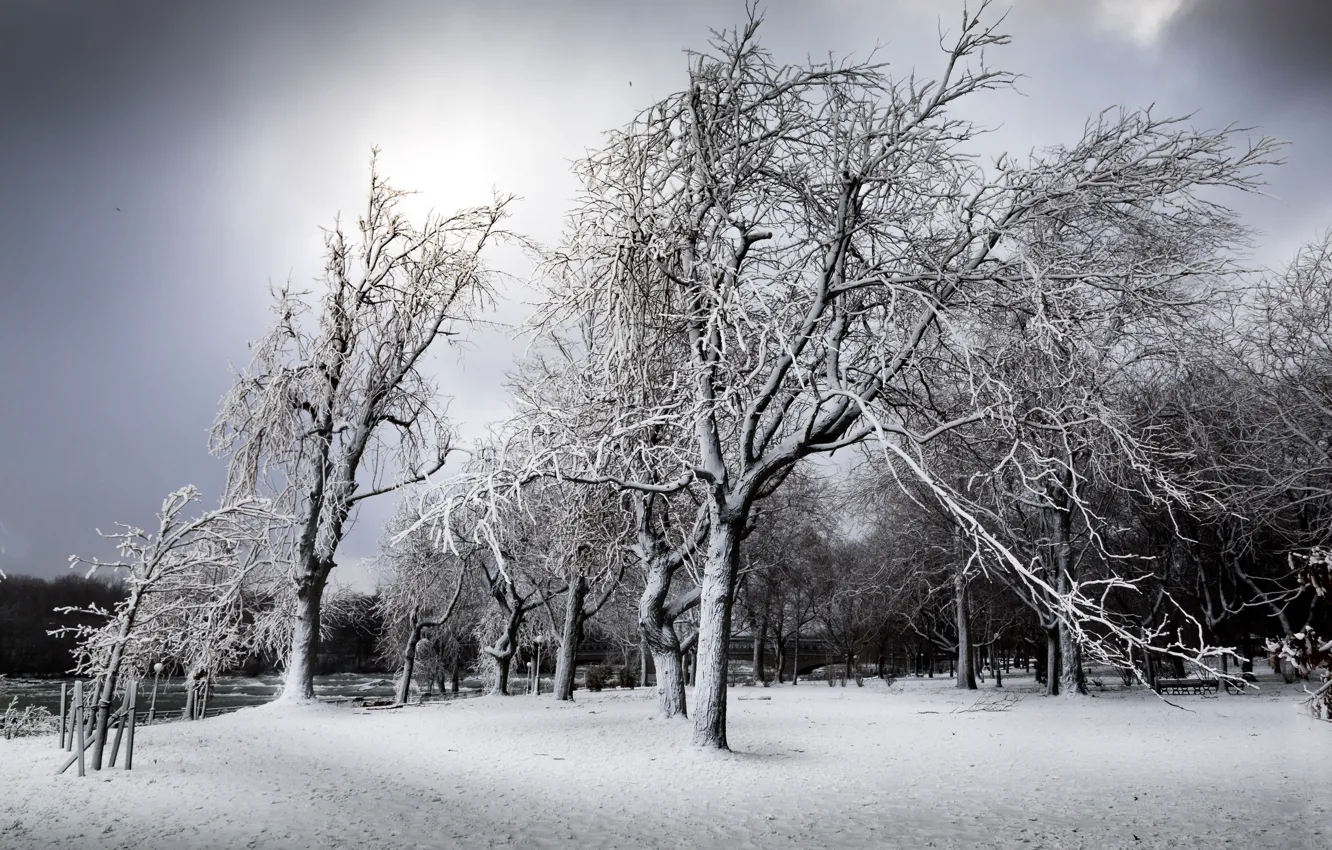Фото обои зима, снег, деревья, New York, Niagara Falls, South End