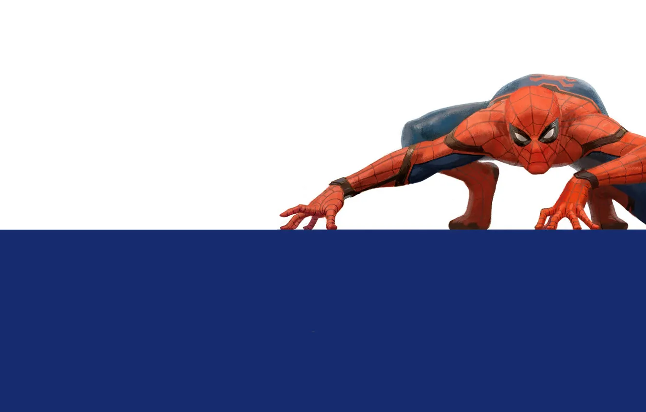 Фото обои обои, краски, вектор, Spider-Man