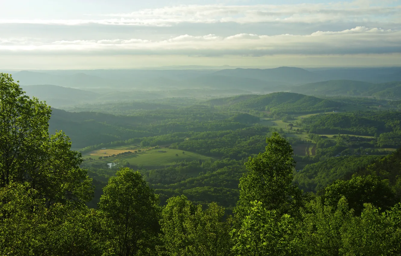 Фото обои горы, поля, панорама, США, леса, Blue Ridge Parkway
