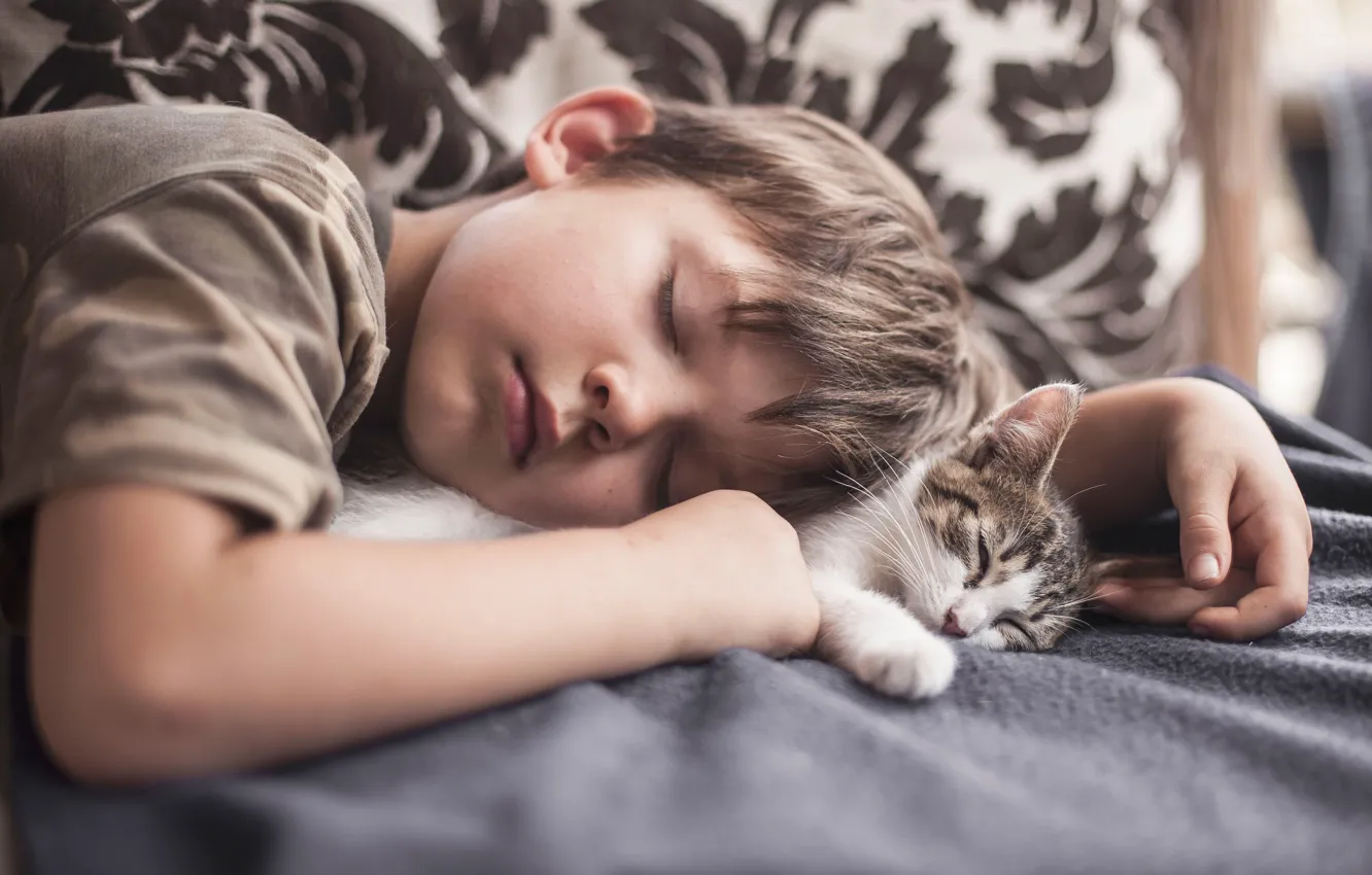 Фото обои отдых, сон, мальчик, котёнок, друзья, спящие