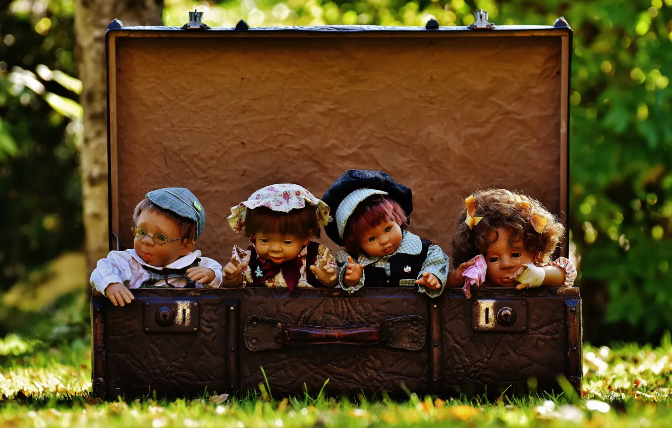 Фото обои трава, природа, игрушки, куклы, чемодан