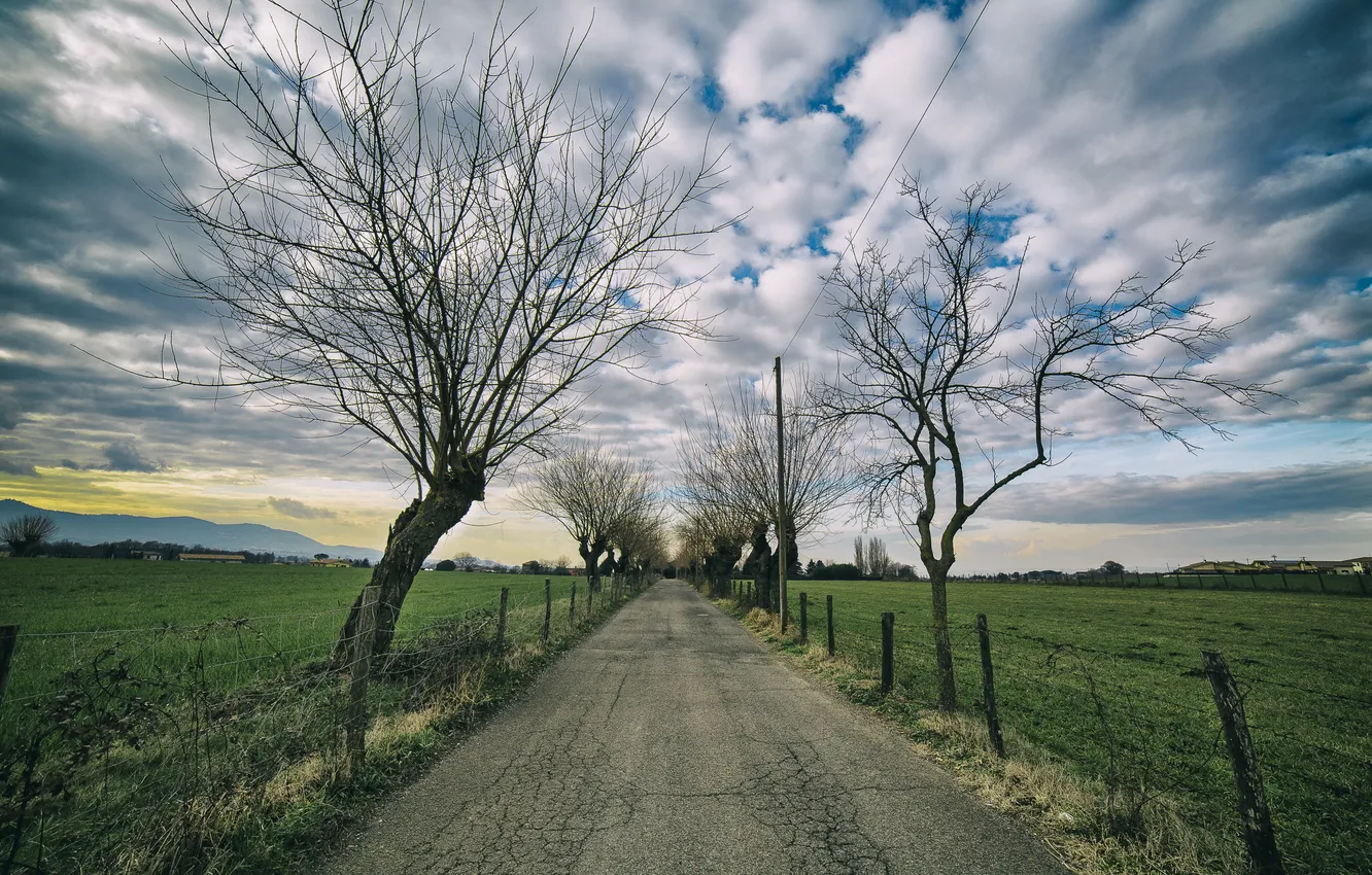 Фото обои дорога, деревья, пейзаж