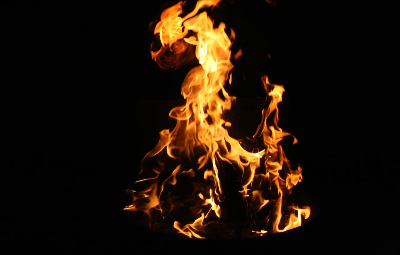 Фото обои макро, ночь, природа, фон, огонь, пламя, обои, костер