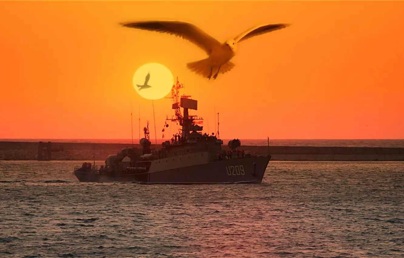 Фото обои море, птицы, вечер, сторожевик