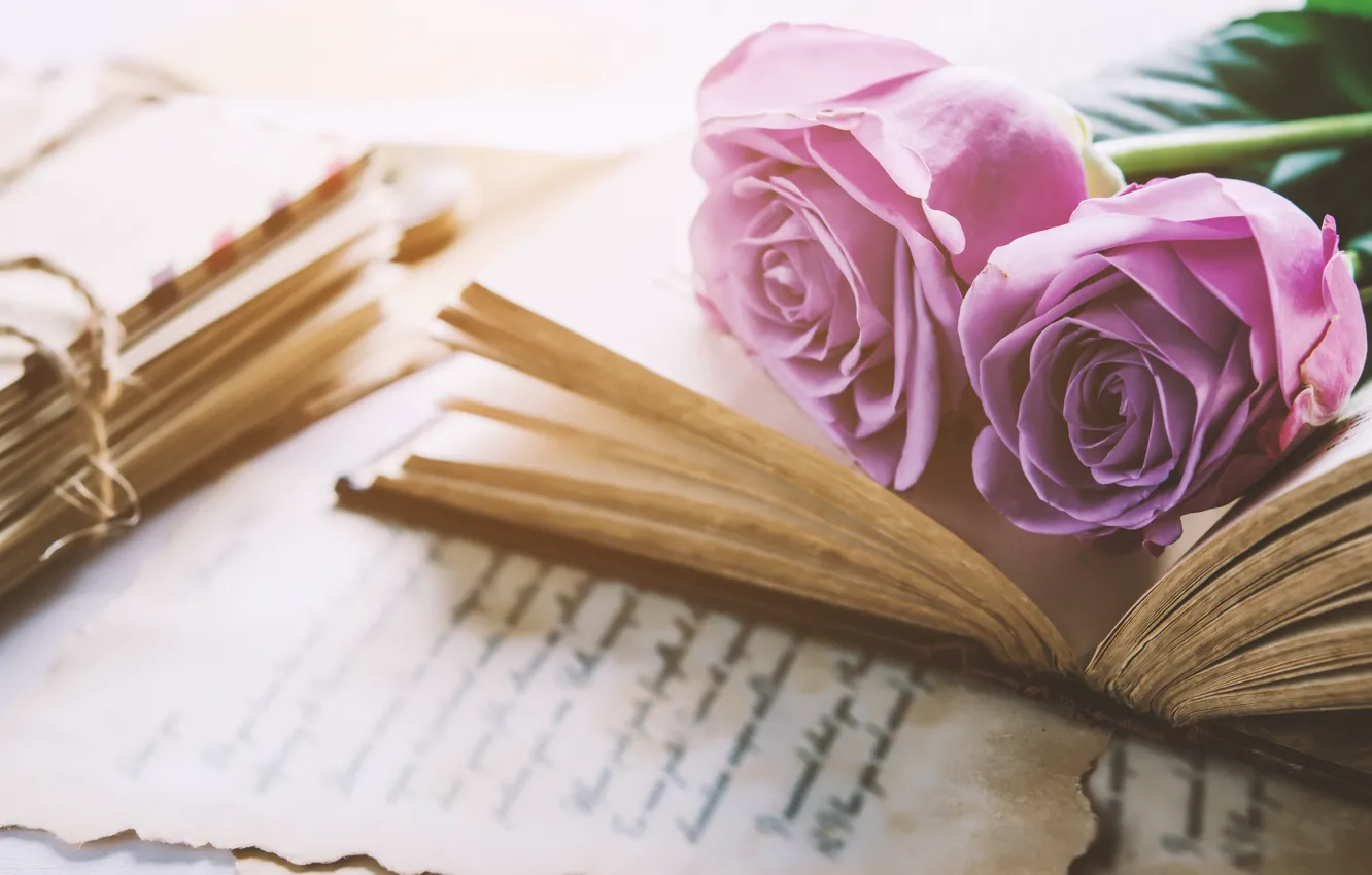 Фото обои цветы, розы, букет, книга, love, vintage, flowers, romantic