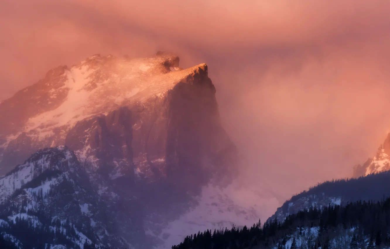 Фото обои лес, снег, рассвет, гора, дымка, Hallet Peak, Rocky Mountain National Park