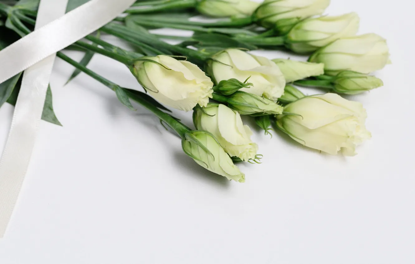 Фото обои цветы, букет, лента, белые, бутоны, эустома