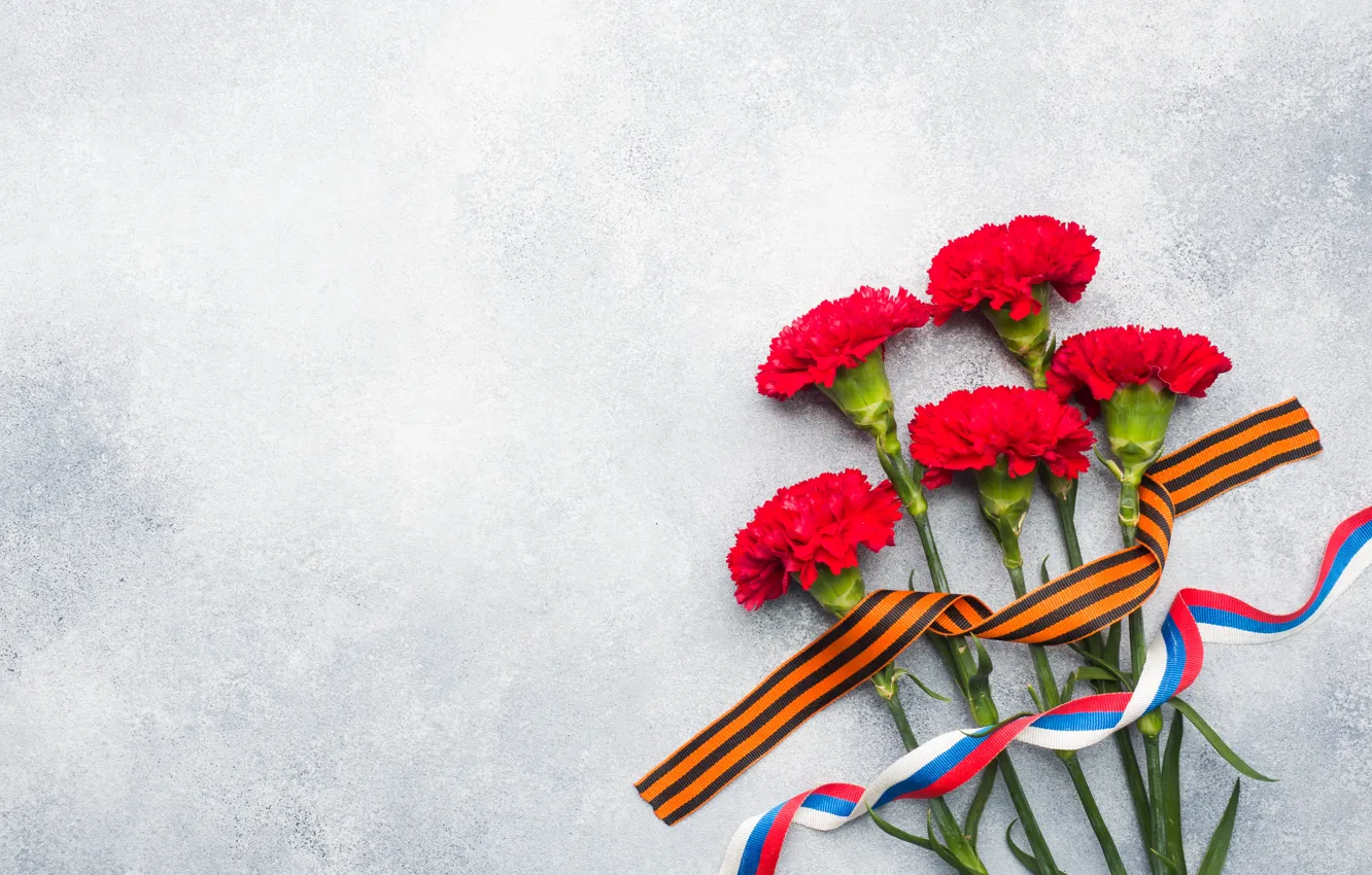 Фото обои цветы, праздник, день победы, георгиевская лента, 9 мая, гвоздика