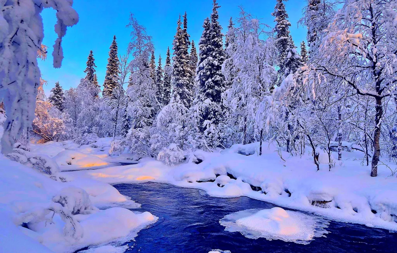 Фото обои зима, лес, снег, деревья, пейзаж, река, ель