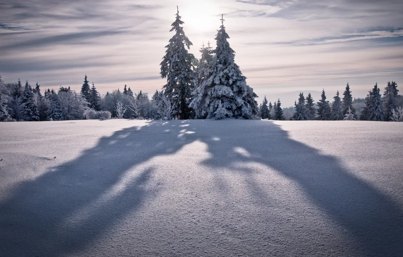 Фото обои зима, небо, солнце, снег, деревья, горы, природа, дерево