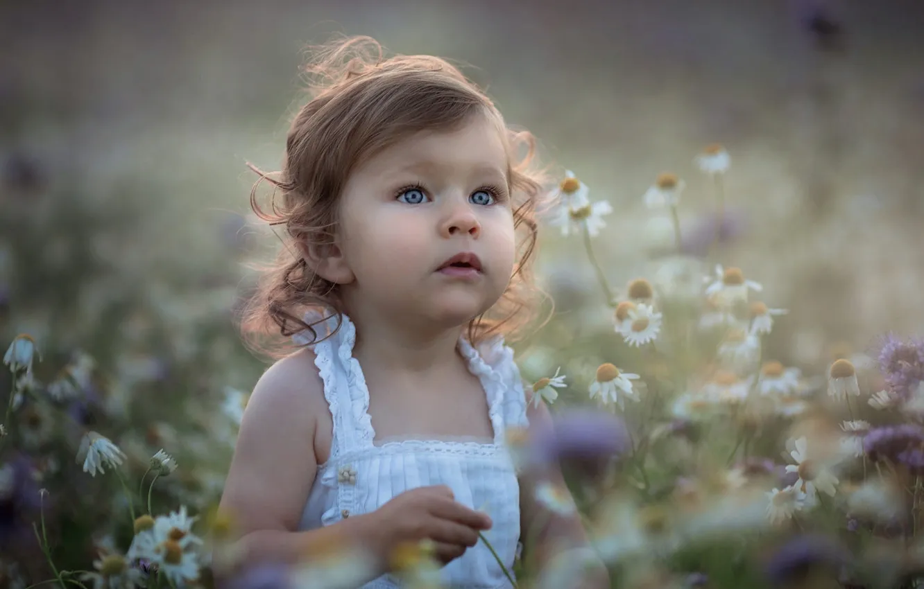 Фото обои цветы, природа, ромашки, девочка, малышка, ребёнок, сарафан, Marta Obiegla