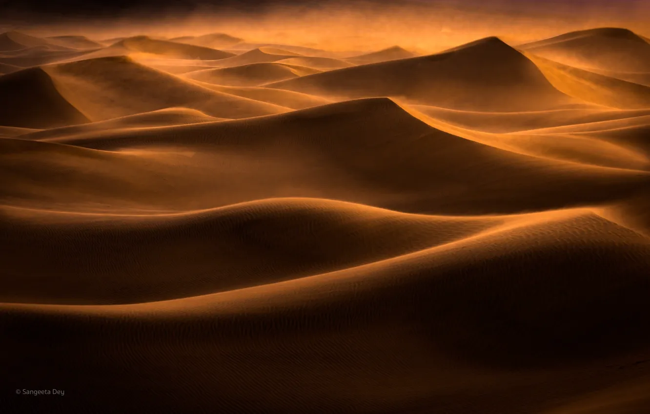 Фото обои песок, барханы, ветер, пустыня, дюны, пески