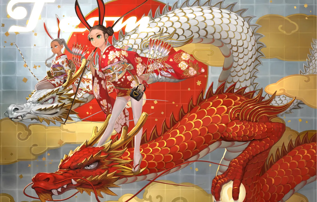 Фото обои девушки, рисунок, драконы, лук, сфера, уши, зайчики, takayama toshiaki