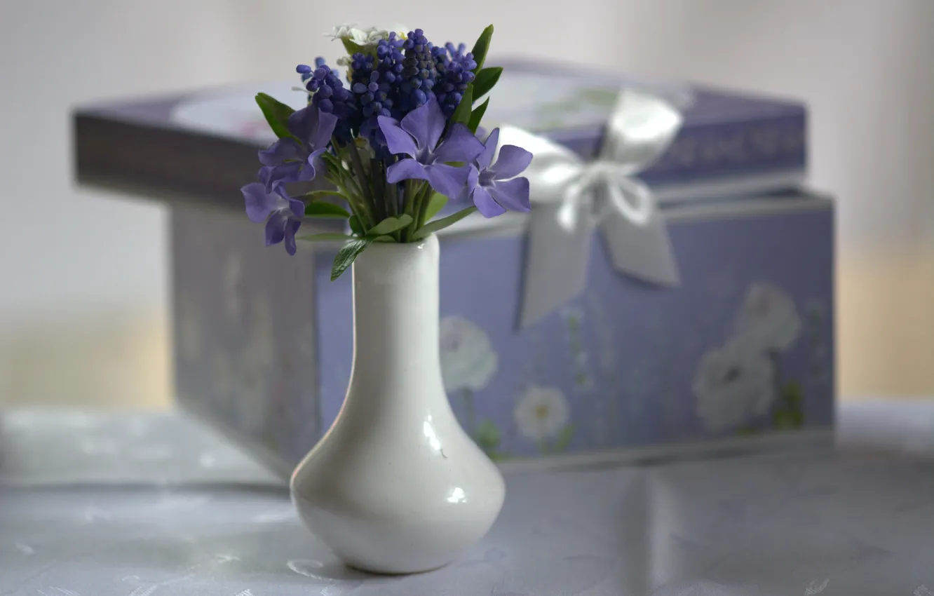 Фото обои цветы, коробка, ваза