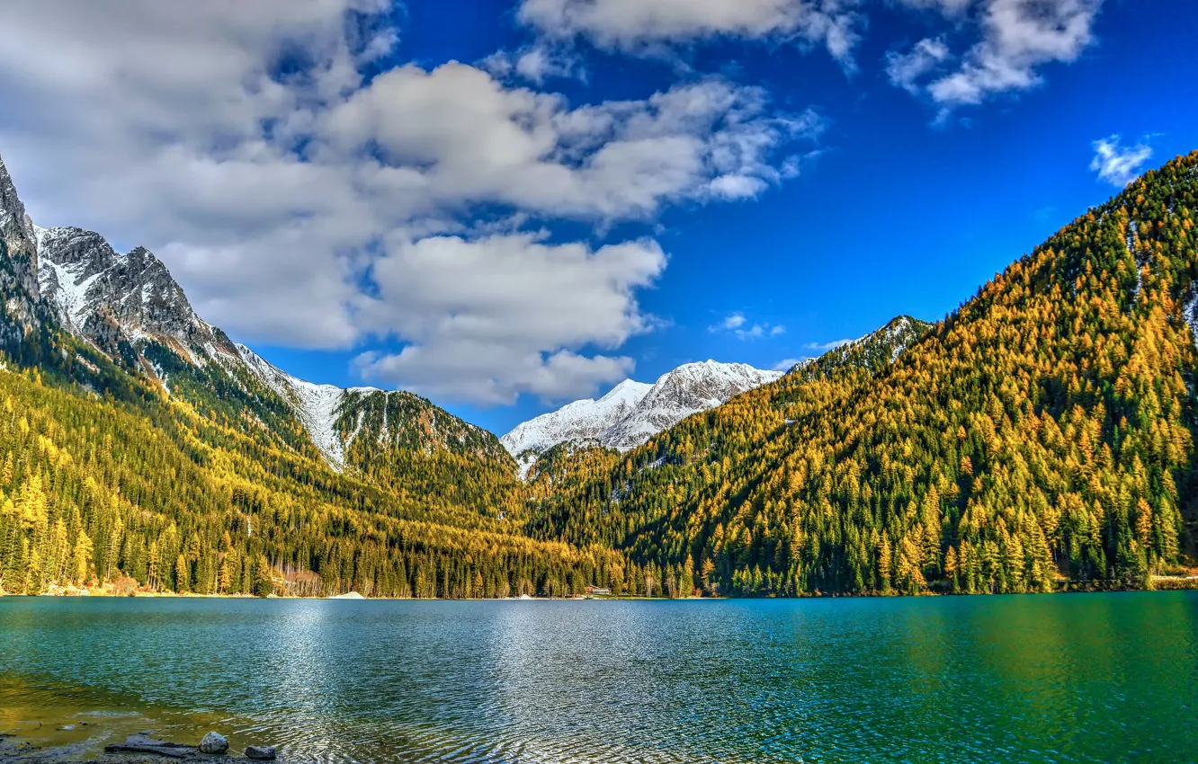 Фото обои осень, лес, облака, снег, горы, озеро, синева, берег