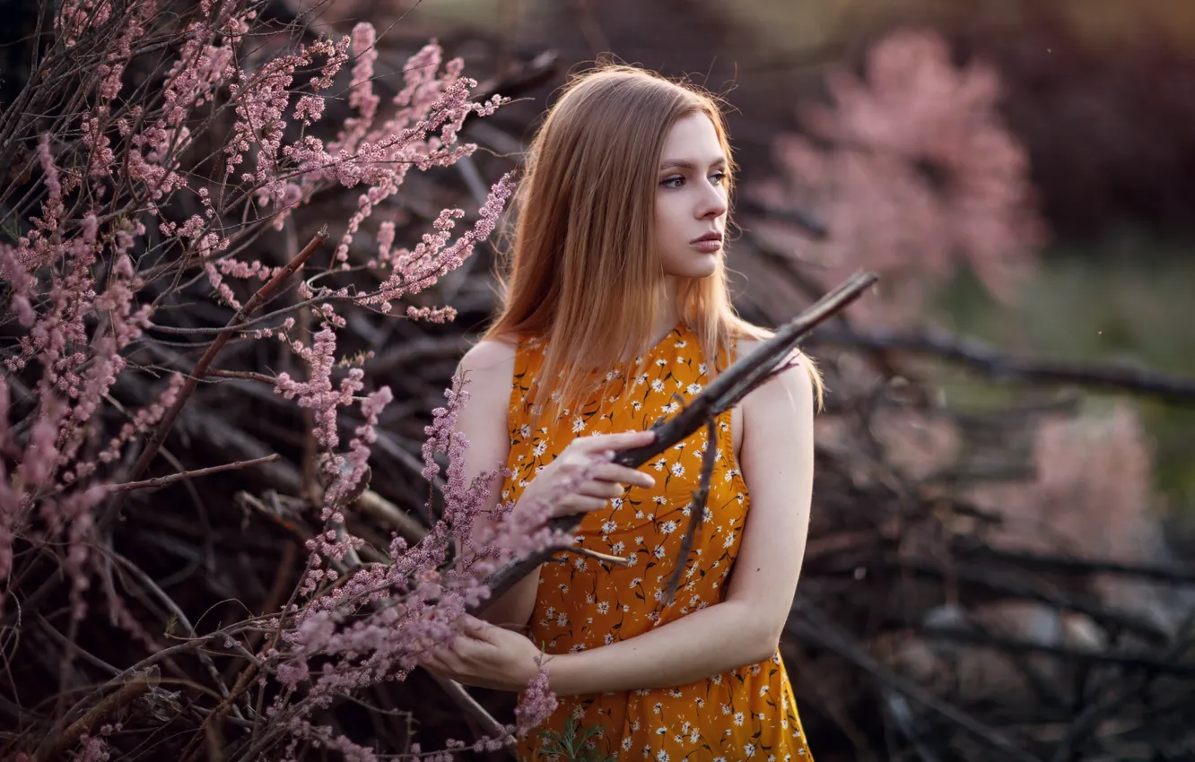 Фото обои girl, dress, brown hair, brown eyes, photo, photographer, flowers, model