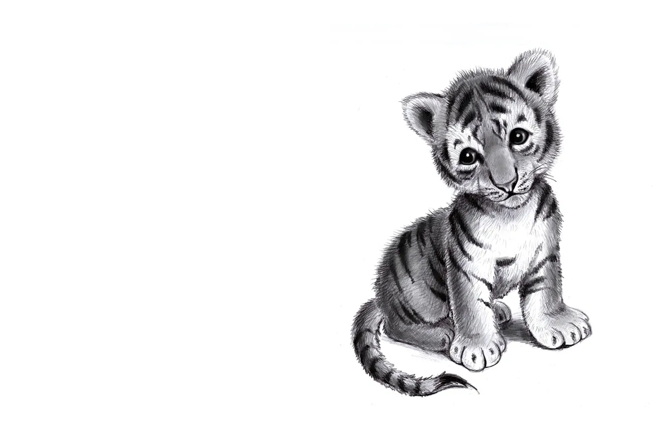 Фото обои грусть, арт, карандаш, тигрёнок, детская