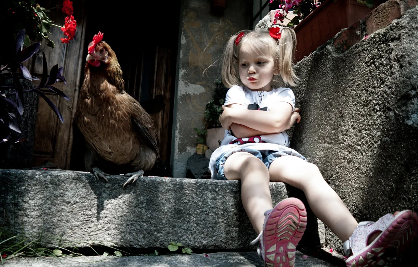 Фото обои ситуация, курица, девочка